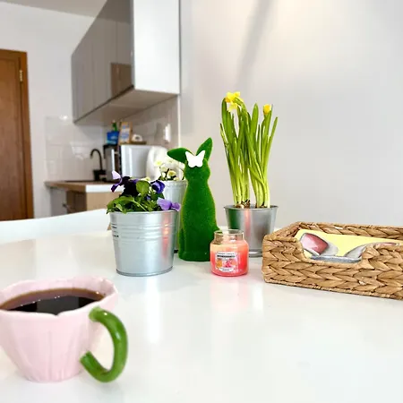 Al-dom 112 Awangardia, 300 M Do Plazy W Dzielnicy Uzdrowiskowej *