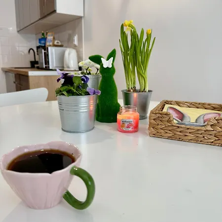 Al-dom 112 Awangardia, 300 M Do Plazy W Dzielnicy Uzdrowiskowej *