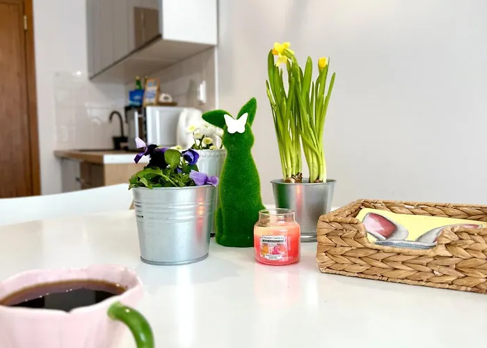 Al-dom 112 Awangardia, 300 M Do Plazy W Dzielnicy Uzdrowiskowej *