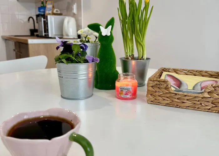 Al-dom 112 Awangardia, 300 M Do Plazy W Dzielnicy Uzdrowiskowej *